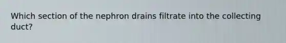 Which section of the nephron drains filtrate into the collecting duct?