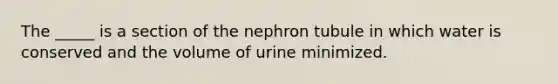 The _____ is a section of the nephron tubule in which water is conserved and the volume of urine minimized.