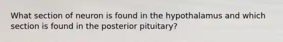 What section of neuron is found in the hypothalamus and which section is found in the posterior pituitary?