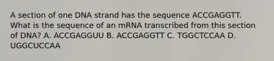 A section of one DNA strand has the sequence ACCGAGGTT. What is the sequence of an mRNA transcribed from this section of DNA? A. ACCGAGGUU B. ACCGAGGTT C. TGGCTCCAA D. UGGCUCCAA