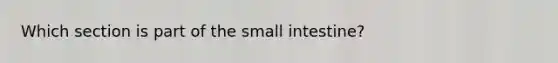 Which section is part of the small intestine?