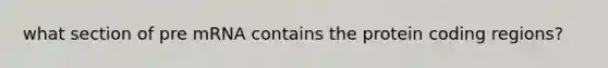 what section of pre mRNA contains the protein coding regions?