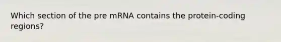 Which section of the pre mRNA contains the protein-coding regions?