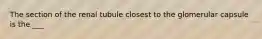 The section of the renal tubule closest to the glomerular capsule is the ___