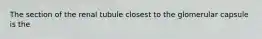 The section of the renal tubule closest to the glomerular capsule is the