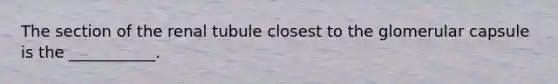 The section of the renal tubule closest to the glomerular capsule is the ___________.