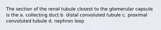 The section of the renal tubule closest to the glomerular capsule is the a. collecting duct b. distal convoluted tubule c. proximal convoluted tubule d. nephron loop