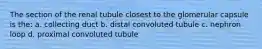 The section of the renal tubule closest to the glomerular capsule is the: a. collecting duct b. distal convoluted tubule c. nephron loop d. proximal convoluted tubule