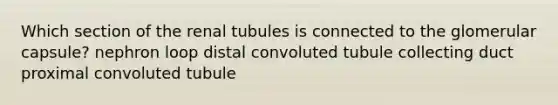 Which section of the renal tubules is connected to the glomerular capsule? nephron loop distal convoluted tubule collecting duct proximal convoluted tubule