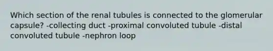 Which section of the renal tubules is connected to the glomerular capsule? -collecting duct -proximal convoluted tubule -distal convoluted tubule -nephron loop