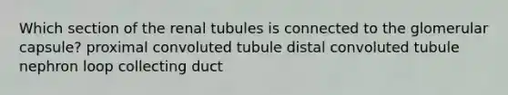 Which section of the renal tubules is connected to the glomerular capsule? proximal convoluted tubule distal convoluted tubule nephron loop collecting duct