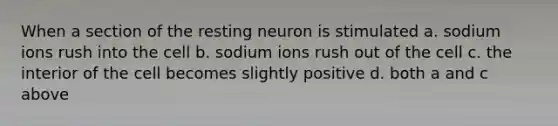 When a section of the resting neuron is stimulated a. sodium ions rush into the cell b. sodium ions rush out of the cell c. the interior of the cell becomes slightly positive d. both a and c above