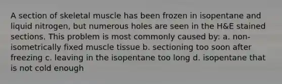 A section of skeletal muscle has been frozen in isopentane and liquid nitrogen, but numerous holes are seen in the H&E stained sections. This problem is most commonly caused by: a. non-isometrically fixed muscle tissue b. sectioning too soon after freezing c. leaving in the isopentane too long d. isopentane that is not cold enough