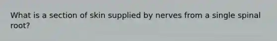 What is a section of skin supplied by nerves from a single spinal root?