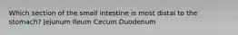 Which section of the small intestine is most distal to the stomach? Jejunum Ileum Cecum Duodenum