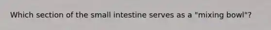 Which section of the small intestine serves as a "mixing bowl"?