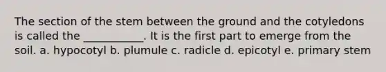 The section of the stem between the ground and the cotyledons is called the ___________. It is the first part to emerge from the soil. a. hypocotyl b. plumule c. radicle d. epicotyl e. primary stem