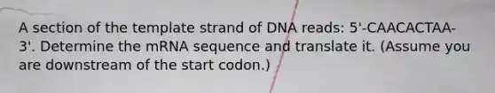 A section of the template strand of DNA reads: 5'-CAACACTAA- 3'. Determine the mRNA sequence and translate it. (Assume you are downstream of the start codon.)