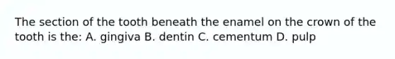 The section of the tooth beneath the enamel on the crown of the tooth is the: A. gingiva B. dentin C. cementum D. pulp