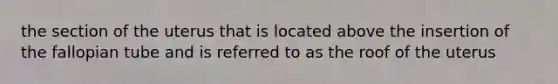 the section of the uterus that is located above the insertion of the fallopian tube and is referred to as the roof of the uterus