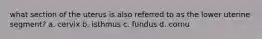 what section of the uterus is also referred to as the lower uterine segment? a. cervix b. isthmus c. fundus d. cornu