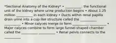 *Sectional Anatomy of the Kidney* • __________: the functional unit of the kidney where urine production begins • About 1.25 million __________ in each kidney • Ducts within renal papilla drain urine into a cup-like structure called the __________ __________ • Minor calyces merge to form __________ __________ • Major calyces combine to form large funnel-shaped chamber called the __________ __________ • Renal pelvis connects to the __________