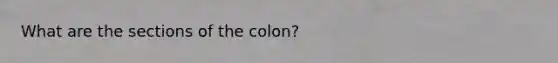 What are the sections of the colon?