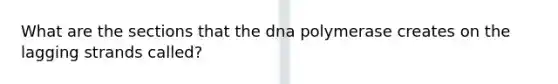 What are the sections that the dna polymerase creates on the lagging strands called?