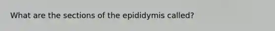 What are the sections of the epididymis called?