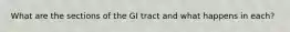 What are the sections of the GI tract and what happens in each?