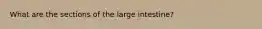 What are the sections of the large intestine?