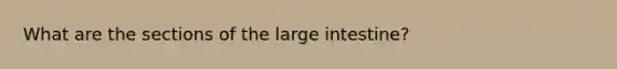 What are the sections of the large intestine?