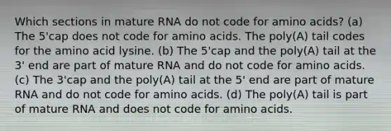 Which sections in mature RNA do not code for <a href='https://www.questionai.com/knowledge/k9gb720LCl-amino-acids' class='anchor-knowledge'>amino acids</a>? (a) The 5'cap does not code for amino acids. The poly(A) tail codes for the amino acid lysine. (b) The 5'cap and the poly(A) tail at the 3' end are part of mature RNA and do not code for amino acids. (c) The 3'cap and the poly(A) tail at the 5' end are part of mature RNA and do not code for amino acids. (d) The poly(A) tail is part of mature RNA and does not code for amino acids.