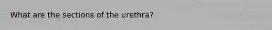 What are the sections of the urethra?