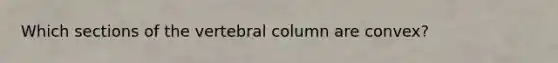 Which sections of the vertebral column are convex?