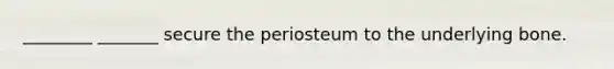 ________ _______ secure the periosteum to the underlying bone.