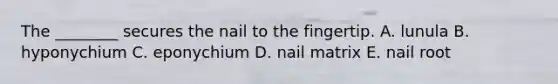 The ________ secures the nail to the fingertip. A. lunula B. hyponychium C. eponychium D. nail matrix E. nail root