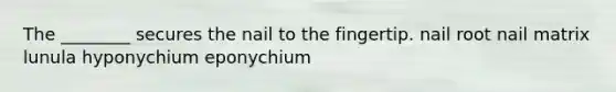 The ________ secures the nail to the fingertip. nail root nail matrix lunula hyponychium eponychium