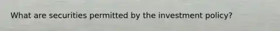 What are securities permitted by the investment policy?