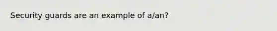 Security guards are an example of a/an?