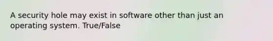 A security hole may exist in software other than just an operating system. True/False