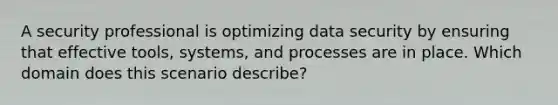 A security professional is optimizing data security by ensuring that effective tools, systems, and processes are in place. Which domain does this scenario describe?