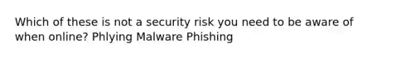 Which of these is not a security risk you need to be aware of when online? Phlying Malware Phishing