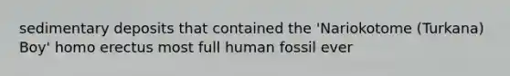 sedimentary deposits that contained the 'Nariokotome (Turkana) Boy' homo erectus most full human fossil ever