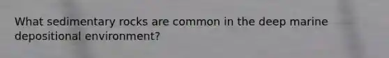 What sedimentary rocks are common in the deep marine depositional environment?
