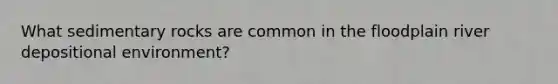 What sedimentary rocks are common in the floodplain river depositional environment?