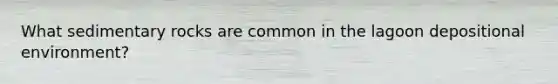 What sedimentary rocks are common in the lagoon depositional environment?
