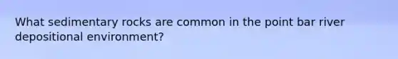 What sedimentary rocks are common in the point bar river depositional environment?