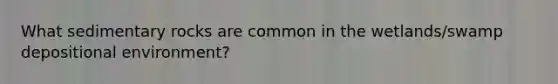 What sedimentary rocks are common in the wetlands/swamp depositional environment?