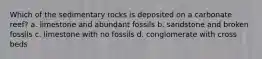 Which of the sedimentary rocks is deposited on a carbonate reef? a. limestone and abundant fossils b. sandstone and broken fossils c. limestone with no fossils d. conglomerate with cross beds